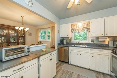 Meticulously Maintained 3 Bedroom 1.5 Bath Bi-level. Nice Curb - photo 5