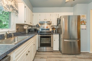 Meticulously Maintained 3 Bedroom 1.5 Bath Bi-level. Nice Curb - photo 7