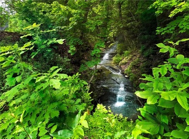 Enjoy the best of Seneca Lake living on the desirable west side - photo 11