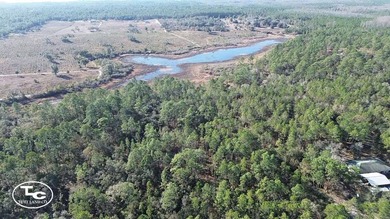 (private lake, pond, coastal) Acreage For Sale in Morriston Florida