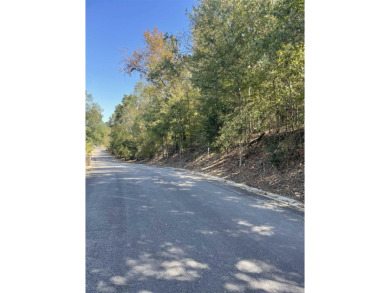 Investors and Builders- What a great area to build, beautiful on - photo 3
