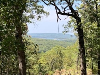 Seller says *BARNDOMINIUMS AND S WELCOME!!* Terrapin Creek View - photo 36