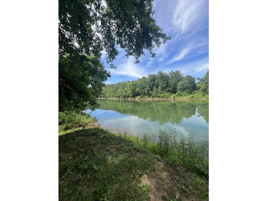 Peaceful, serene, tranquillity. Fishing dock and turnkey! This - photo 43