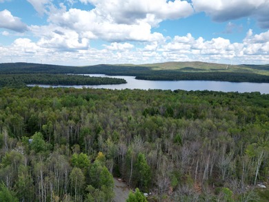 Penobscot River Acreage For Sale in Lincoln Maine