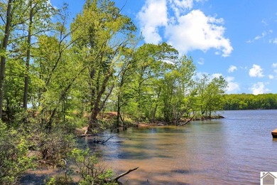 Rare opportunity for acreage on KY LAKE! This beautiful 3.72 - photo 4