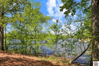 Rare opportunity for acreage on KY LAKE! This beautiful 3.72 - photo 7