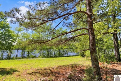 Rare opportunity for acreage on KY LAKE! This beautiful 3.72 - photo 9