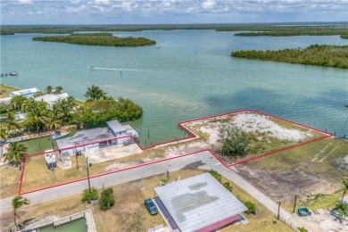 Lake Lot For Sale in Other, Florida