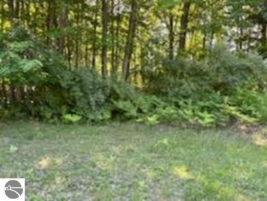 Lake Huron - Arenac County Lot For Sale in Tawas City Michigan