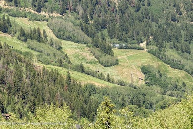 Nestled among a serene grove of mature aspens in one of Aspen's - photo 35