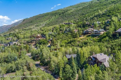 Nestled among a serene grove of mature aspens in one of Aspen's - photo 38