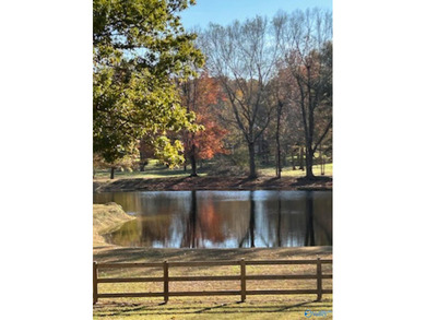 One of a kind property in the city of Madison on almost 6 acres! - photo 44