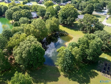 One of a kind property in the city of Madison on almost 6 acres! - photo 46