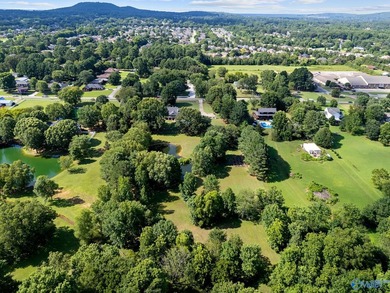 One of a kind property in the city of Madison on almost 6 acres! - photo 47
