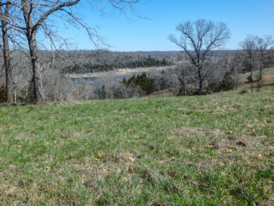 Bull Shoals Lake Acreage For Sale in Theodosia Missouri