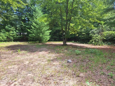 Croton Pond Lot For Sale in Newaygo Michigan