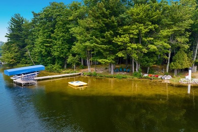 Ultimate Pure Michigan Lakefront Retreat on Chief Lake! Escape - photo 4