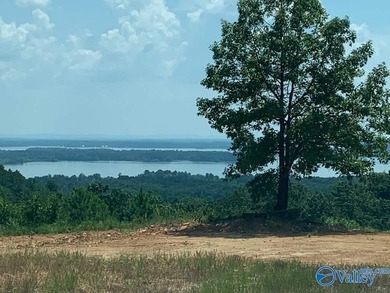 Enjoy extravagant views from the gated community of The Bluffs - photo 3