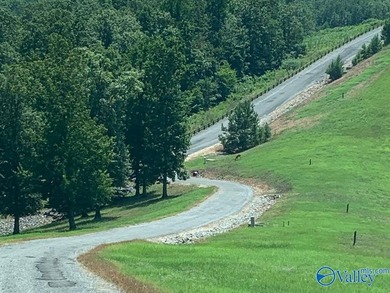 Enjoy extravagant views from the gated community of The Bluffs - photo 9