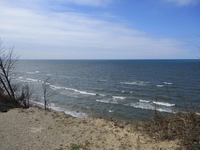Lake Michigan - Allegan County Lot For Sale in South Haven Michigan
