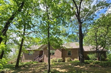 PRICE REDUCED on this TRUE TENNESSEE NATURAL BEAUTY ON 10 Acres! - photo 3