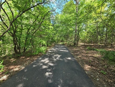 PRICE REDUCED on this TRUE TENNESSEE NATURAL BEAUTY ON 10 Acres! - photo 6