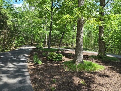 PRICE REDUCED on this TRUE TENNESSEE NATURAL BEAUTY ON 10 Acres! - photo 7