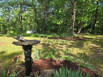 PRICE REDUCED on this TRUE TENNESSEE NATURAL BEAUTY ON 10 Acres! - photo 8