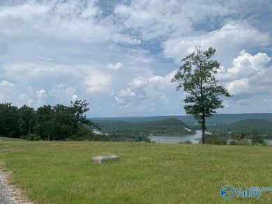Enjoy extravagant views from the gated community of The Bluffs - photo 6