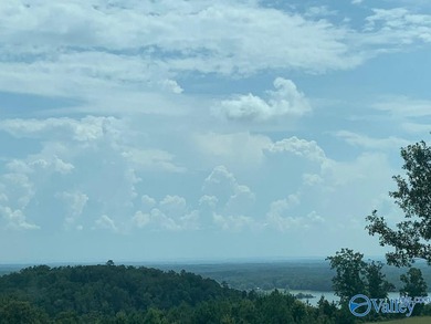 Enjoy extravagant views from the gated community of The Bluffs - photo 7