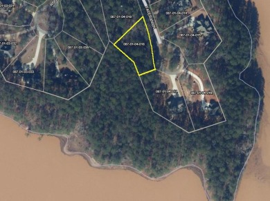 Lake Lot For Sale in Mccormick, South Carolina