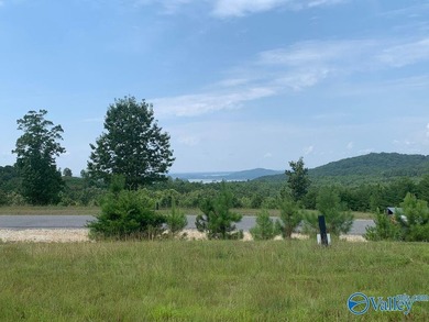 Enjoy extravagant views from the gated community of The Bluffs - photo 4
