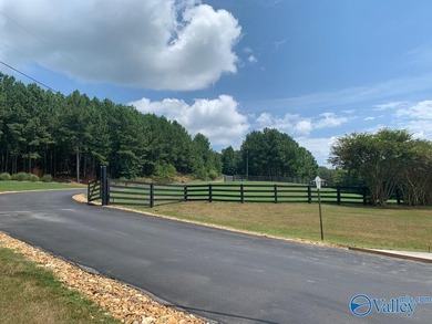 Enjoy extravagant views from the gated community of The Bluffs - photo 8
