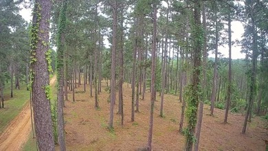 (private lake, pond, coastal) Lot For Sale in Jena Louisiana