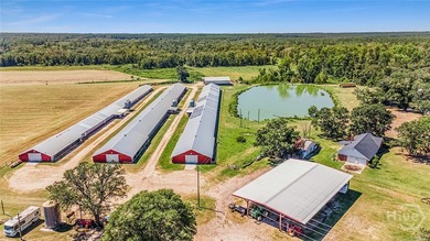 200-Acre Income-Producing Farm in Reidsville, GA! Exceptional - photo 2
