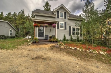 Middle Fork South Platte River Home For Sale in Alma Colorado