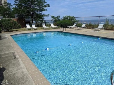 Experience convenient and vibrant living in this updated studio - photo 11