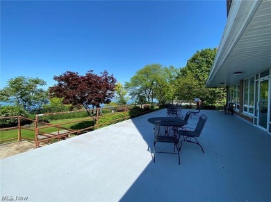 Experience convenient and vibrant living in this updated studio - photo 12
