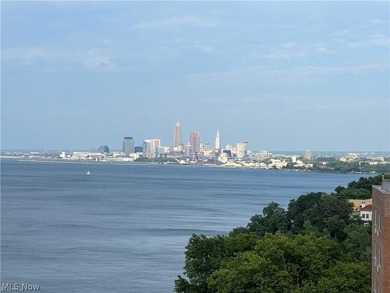 Experience convenient and vibrant living in this updated studio - photo 14