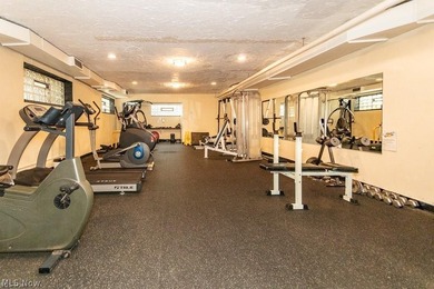 Experience convenient and vibrant living in this updated studio - photo 17