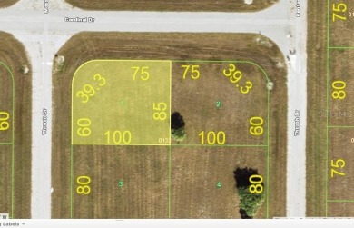 Rotunda Meadows Lakes  Lot For Sale in Placida Florida