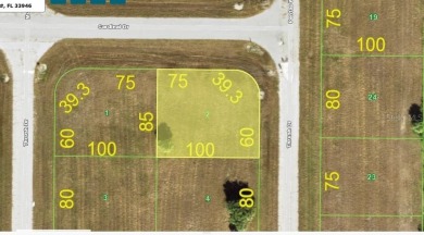 Rotunda Meadows Lakes  Lot For Sale in Placida Florida