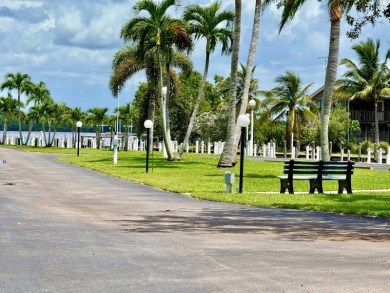 Vacant RV Lot #27 with Dock located in Outdoor Resorts at - photo 3