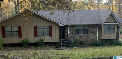 Rock Mountain Lake Home For Sale in Mccalla Alabama