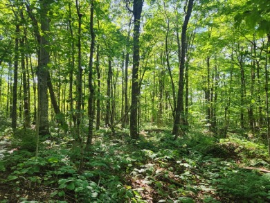 Tug Hill Log Lodge - photo 22