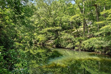Rare membership opportunity at The Moon Lake Club; a National - photo 3