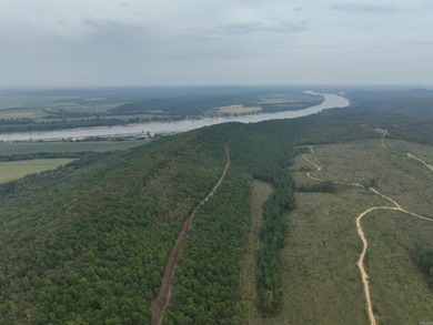 (private lake, pond, creek) Acreage For Sale in Bigelow Arkansas