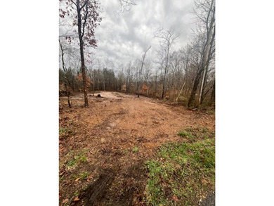 Buildable 7-Lot Combo near Lake Barkley! Electric available at - photo 3