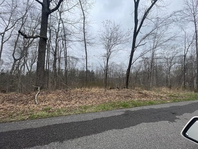 Buildable 7-Lot Combo near Lake Barkley! Electric available at - photo 4