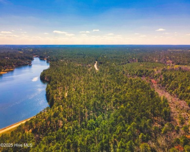 Lake Acreage For Sale in Wagram, North Carolina